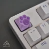 کیکپ مدل kitten paw
