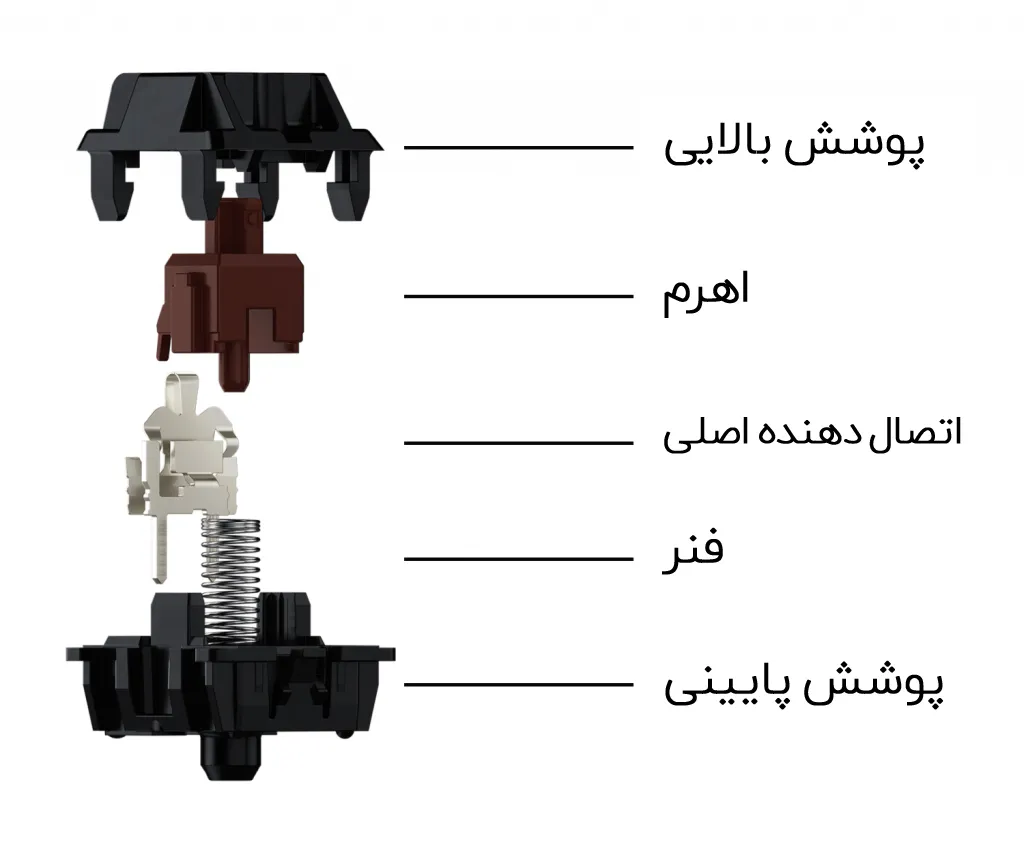 آناتومی سوئیچ